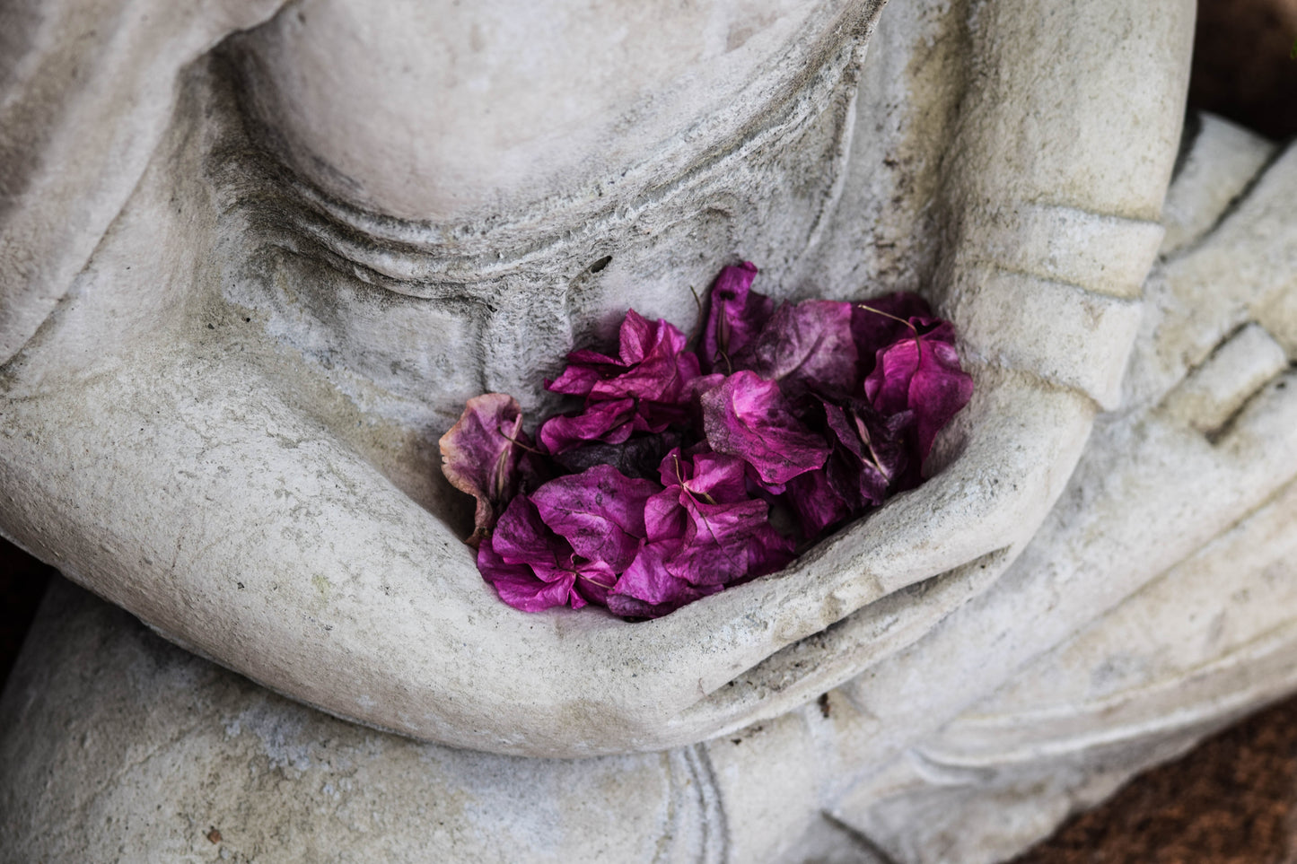 First Degree (Reiki I): Self-Healing & Foundations